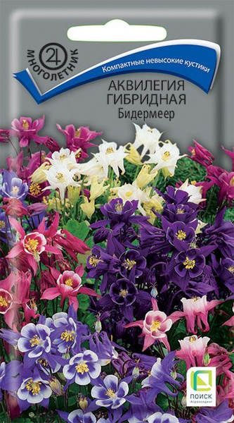 Аквилегия Купить