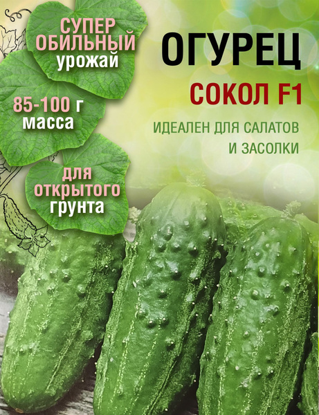 Огурцы Сокол - купить по выгодным ценам в интернет-магазине OZON ...