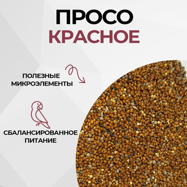 Просо красное пшено лакомство для птиц 3кг - купить с доставкой по ...