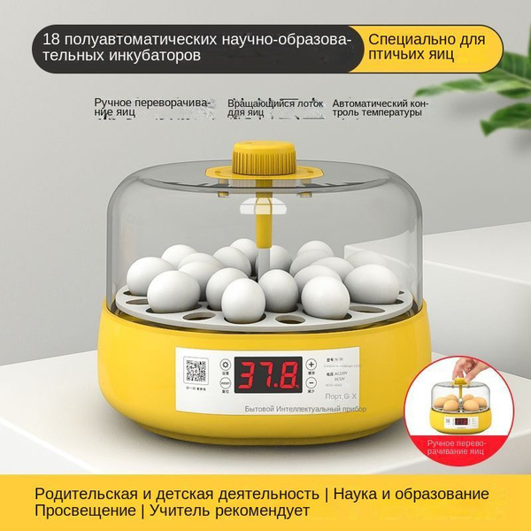 инкубатор - купить с доставкой по выгодным ценам в интернет-магазине ...