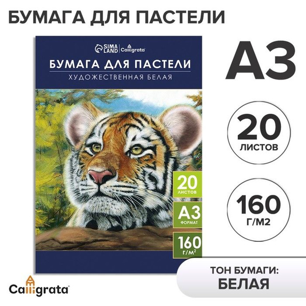 Бумага для пастели А3, 20 листов "Тигр", блок 160 г/м2, в папке ...
