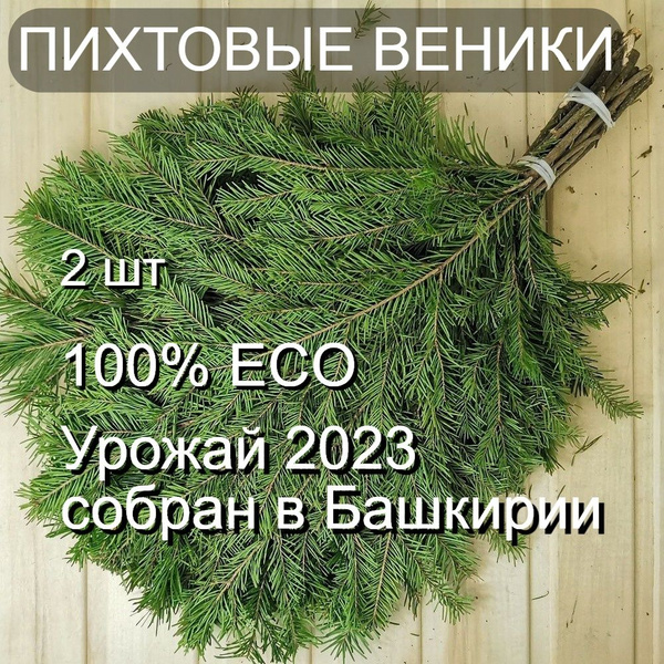 Дамано Веник для бани Пихтовый, 2 шт. купить на OZON по низкой цене ...