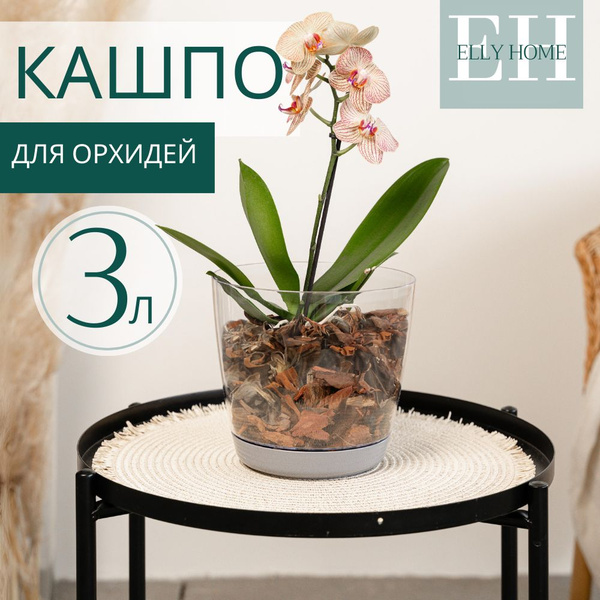 Кашпо для орхидей прозрачное Elly Home, 3л, 1 шт - купить с доставкой ...