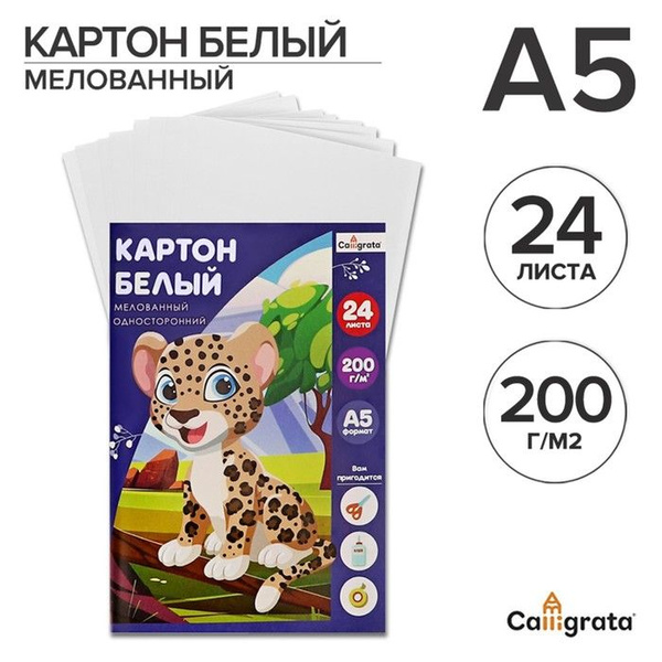 Картон белый А5, 24 листа, мелованный, плотность 200 г/м2, в папке 2 уп ...
