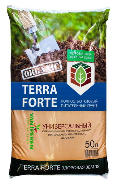 Земля терра фото