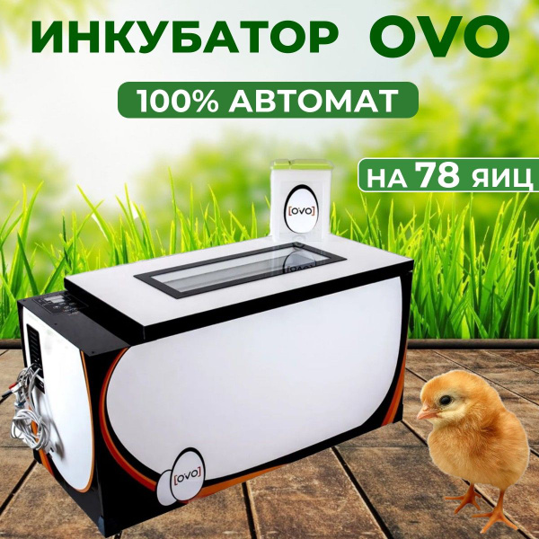 Инкубатор OVO на 78 яиц (100% автомат) - купить с доставкой по выгодным ...