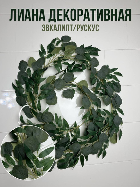 Искусственные цветы для декора, лиана, эвкалипт, рускус, украшение на ...