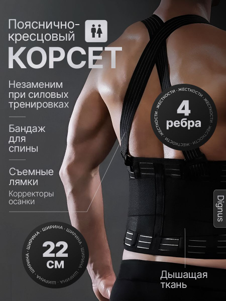 Корсет пояснично-крестцовый Dignus. Женский, мужской. 4 ребра жесткости ...