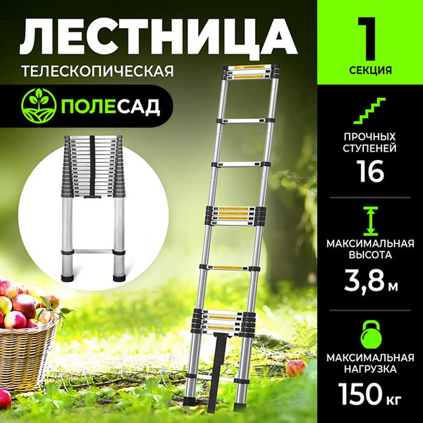 Лестница телескопическая ПОЛЕСАД Телескопическая - купить по выгодным ...