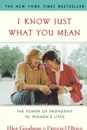 I Know Just What You Mean. The Power of Friendship in Women's Lives - Ellen Goodman, Patricia O'Brien