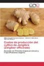 Costos de produccion del cultivo de Jengibre (Zingiber officinale) - Sornoza Zambrano Willian Oswaldo, Meza Bone Fabricio F., Pincay J. José Luis