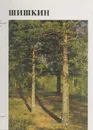 Шишкин - Ирина Шувалова