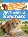 Детеныши животных. Энциклопедия для детского сада. - Клюшник Л. В.