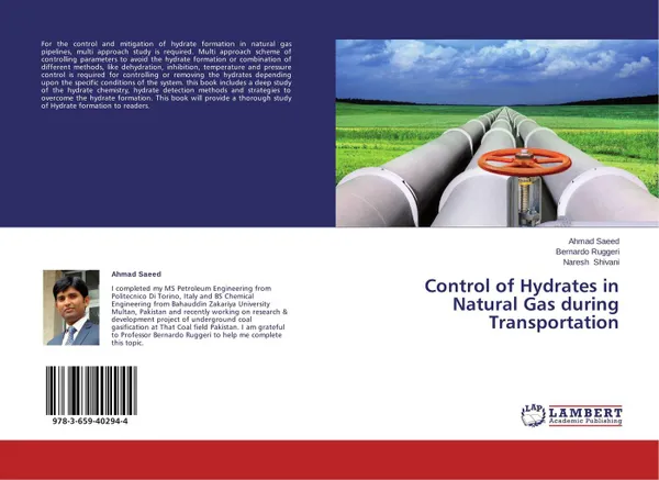 Обложка книги Control of Hydrates in Natural Gas during Transportation, Ahmad Saeed,Bernardo Ruggeri and Naresh Shivani