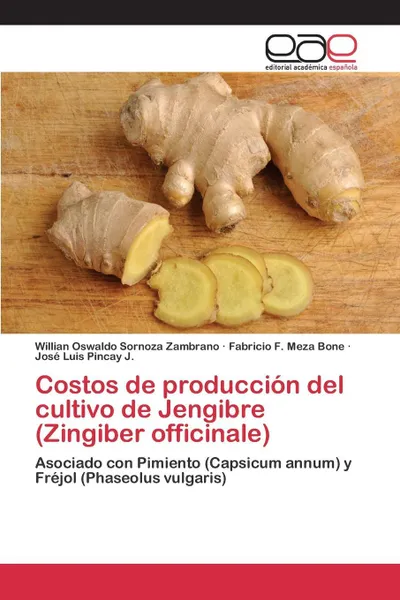 Обложка книги Costos de produccion del cultivo de Jengibre (Zingiber officinale), Sornoza Zambrano Willian Oswaldo, Meza Bone Fabricio F., Pincay J. José Luis