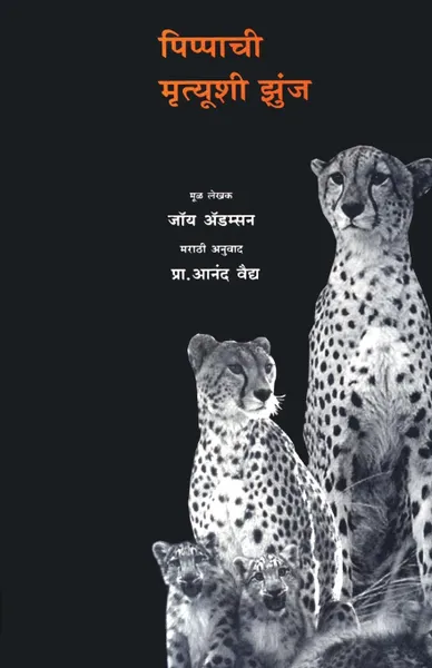 Обложка книги Pippachi Mrutyushi Zunj, Anand Vaidya