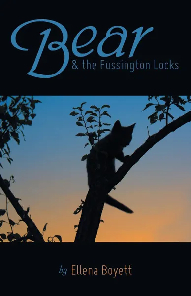 Обложка книги Bear & the Fussington Locks, by Ellena Boyett