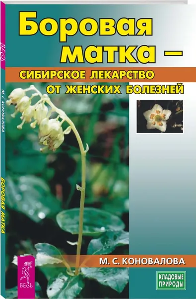 Обложка книги Боровая матка - сибирское лекарство от женских болезней, Коновалова Марина