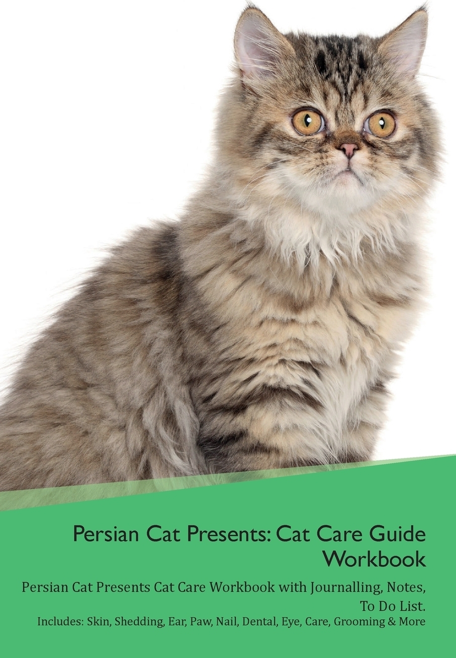 persian cat eye care