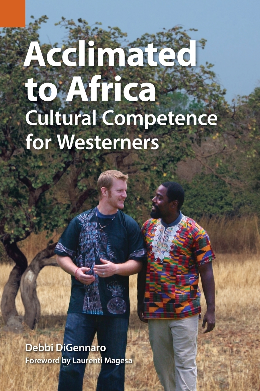 фото Acclimated to Africa. Cultural Competence for Westerners