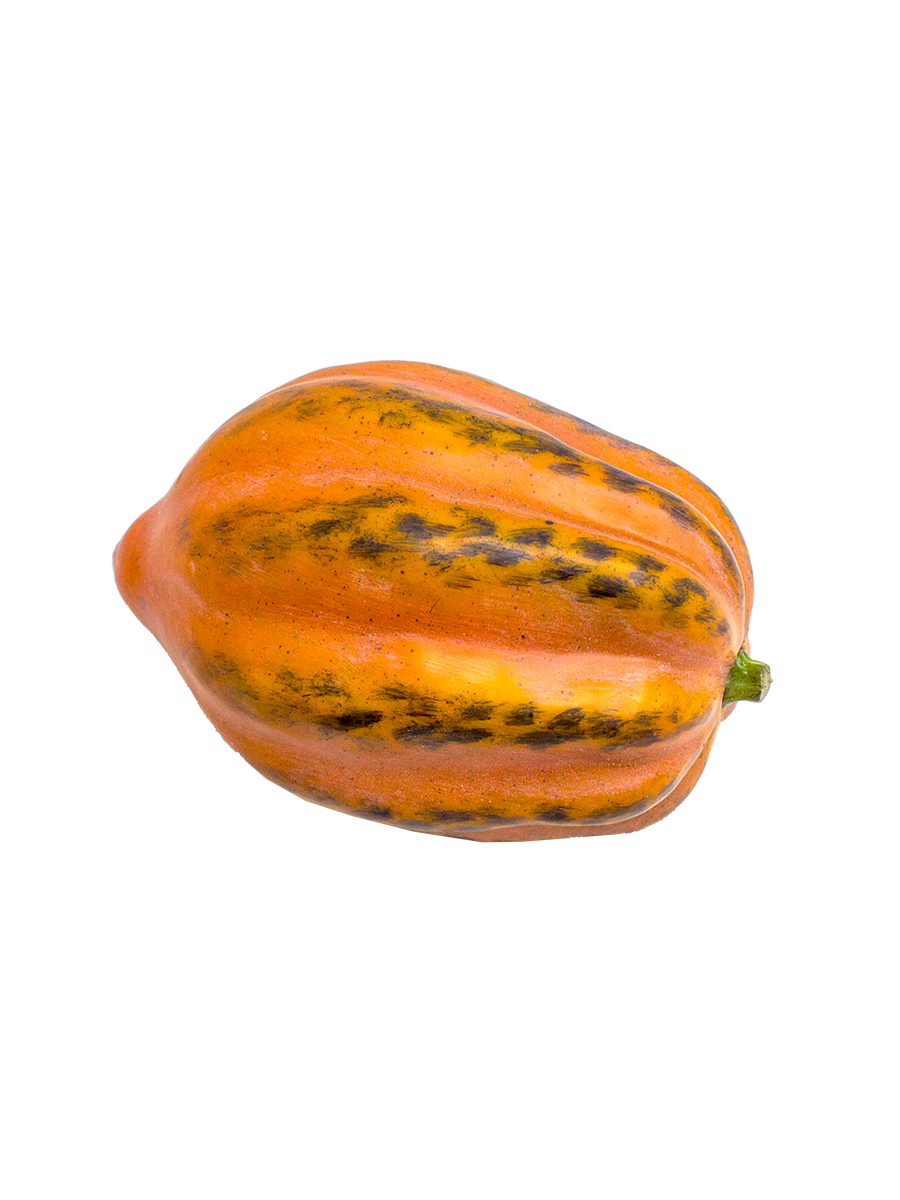 Топинамбур - купить по низкой цене в интернет-магазине OZON (239246022)