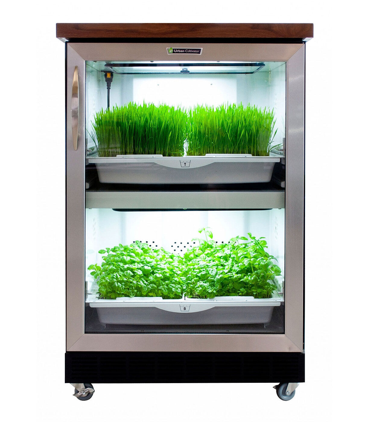 Urban Cultivator — кухонный гроубокс