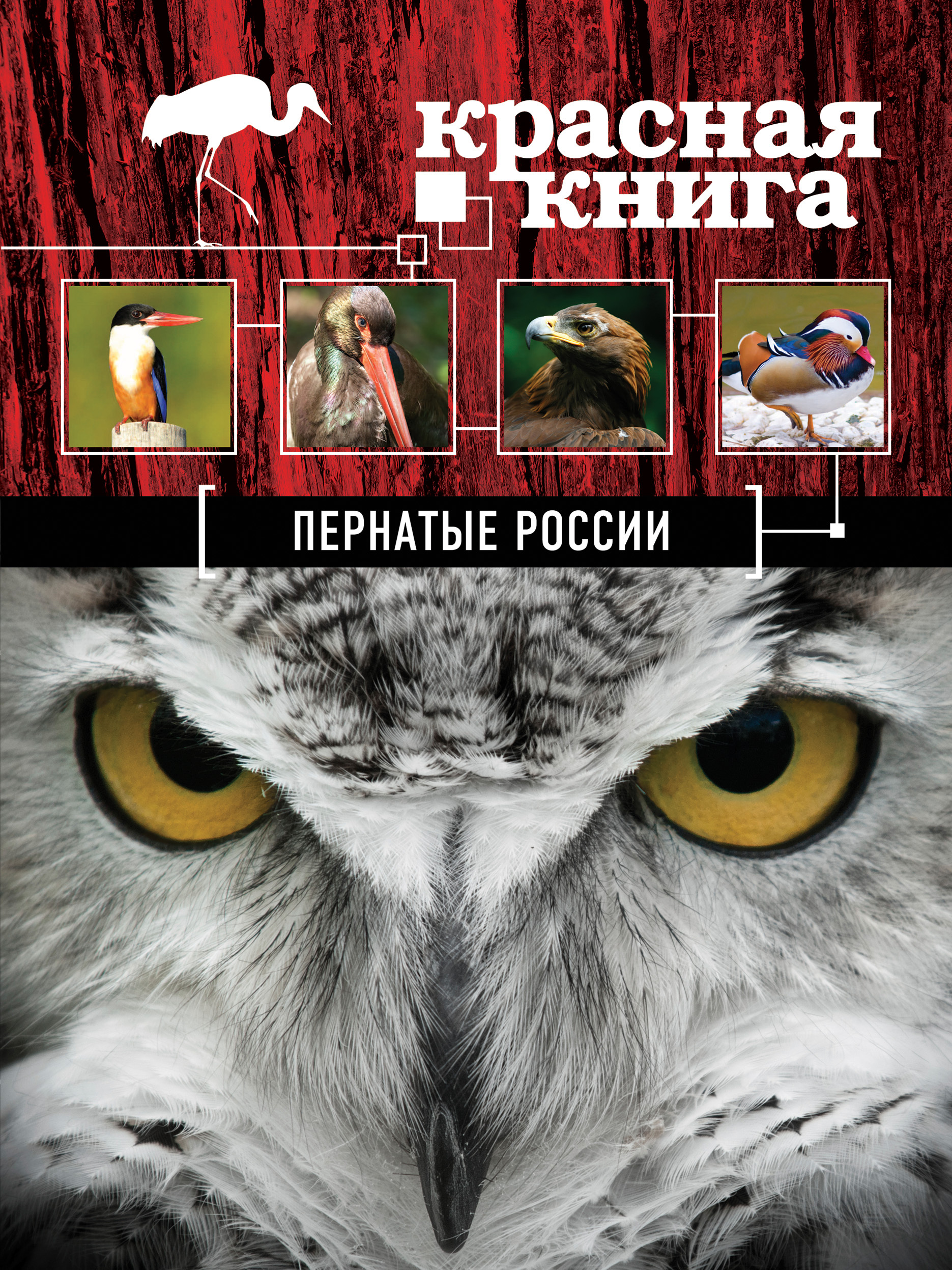 Купить Красную Книгу Мира Полная