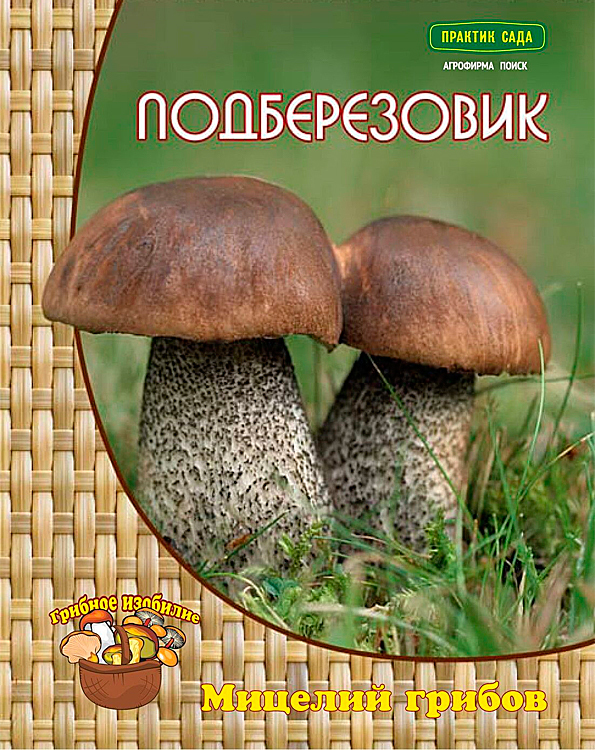 Мицелий грибов –  семена грибов (грибницы) на  по низкой цене