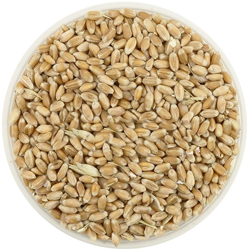 Пшеница, 1 кг -  с доставкой по выгодным ценам в интернет .