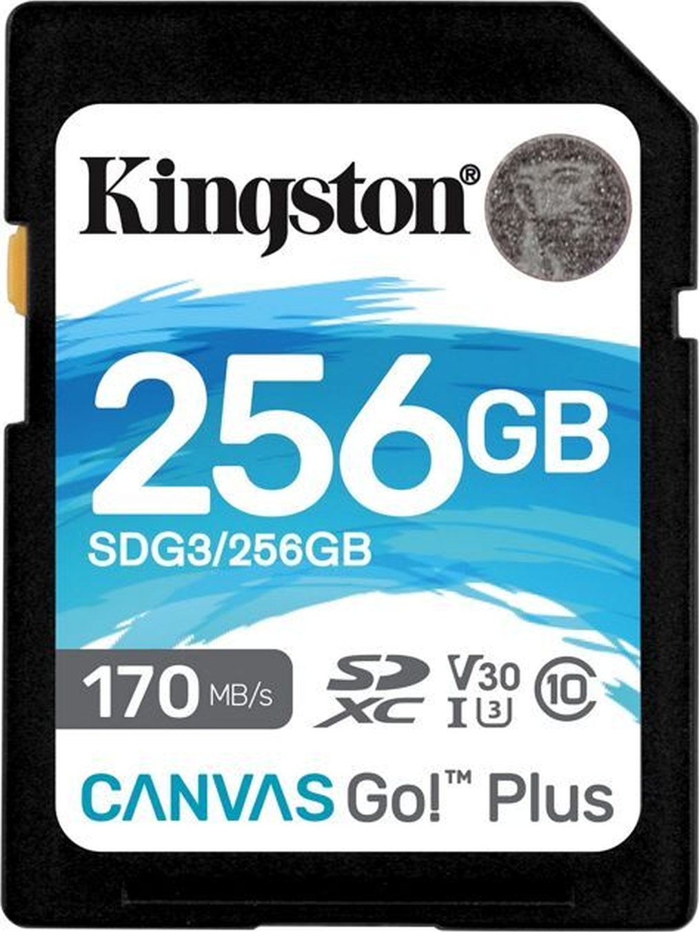 KingstonКартапамятиCanvasGOPlus256ГБ(SDG3/256GB)