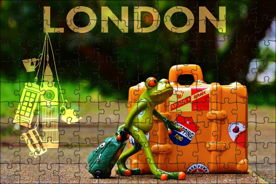 Лягушонок путешественник. Лягушка путешествие. Лягушка юмор. Лягушки путешественники. Прикольные лягушки.