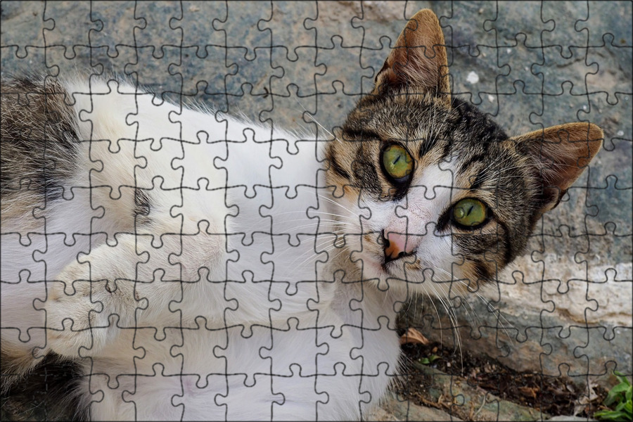 Эгейская кошка