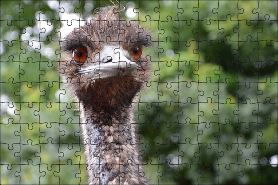 Emu o