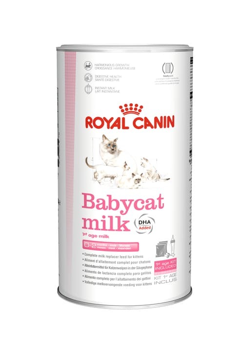 Royal sales canin milk