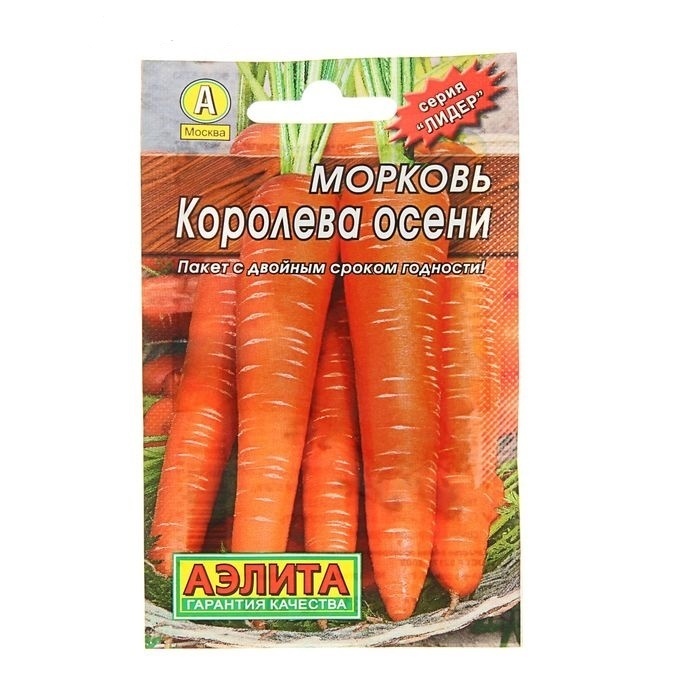 Королева Осени Морковь Фото Отзывы Описание