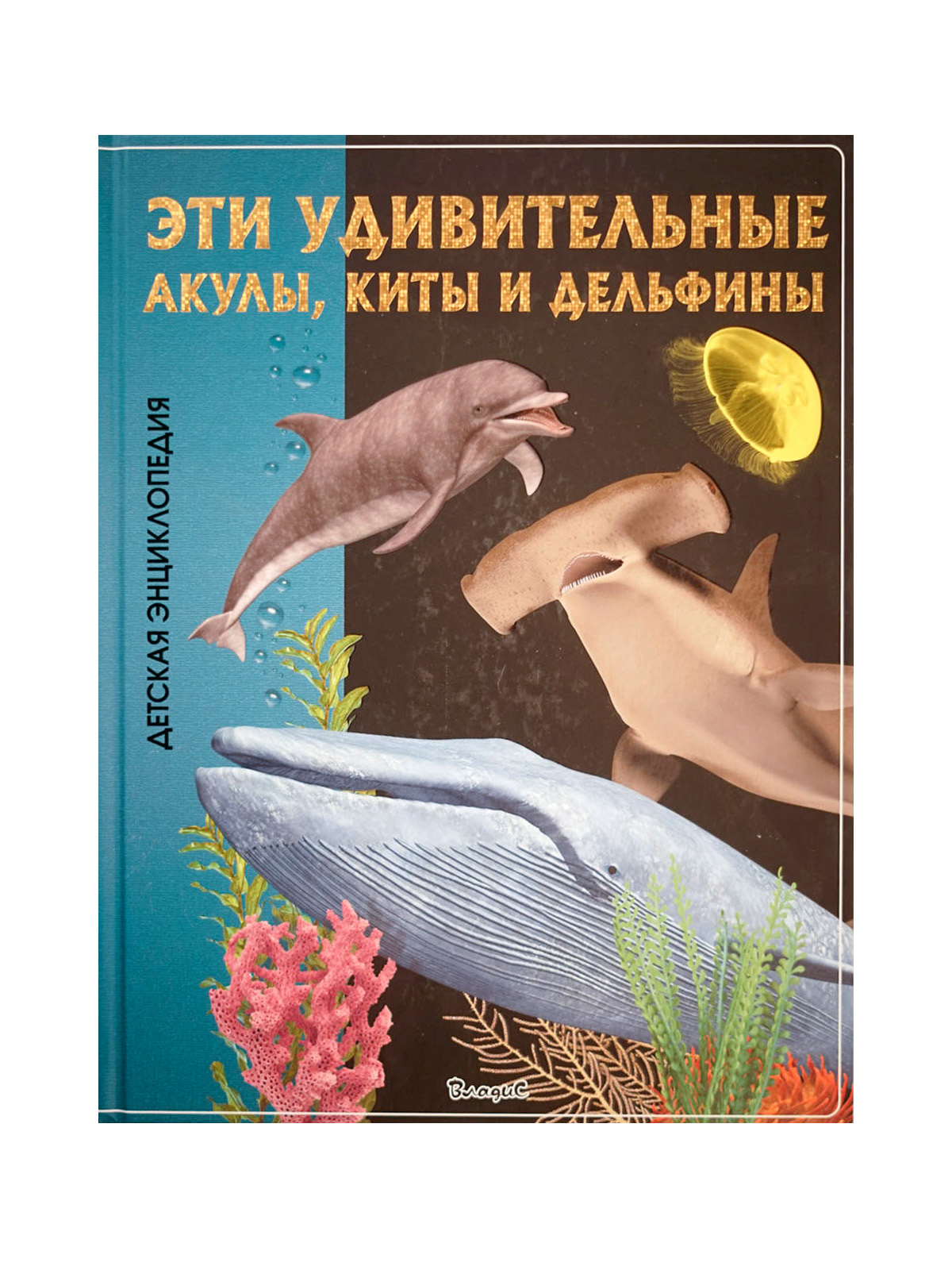 Киты и дельфины