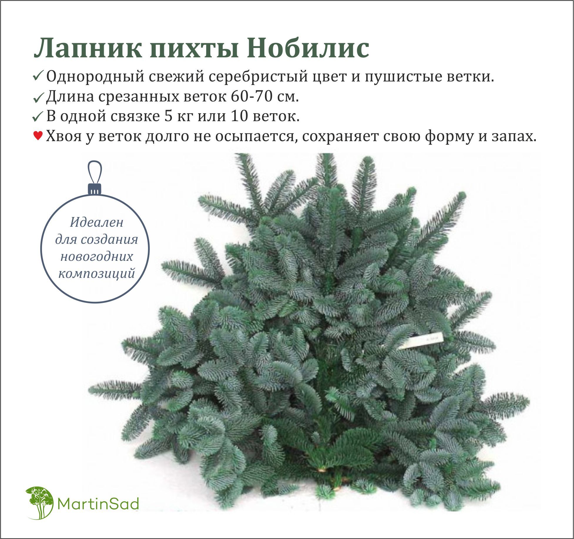 Лапник пихты нобилис — купить в интернет-магазине OZON с быстрой доставкой