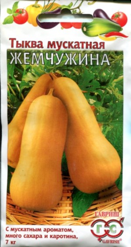 Тыква Жемчужина Фото