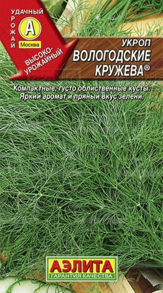 Семена кружева. Укроп вологодские кружева. Укроп. Семена укропа кружево.