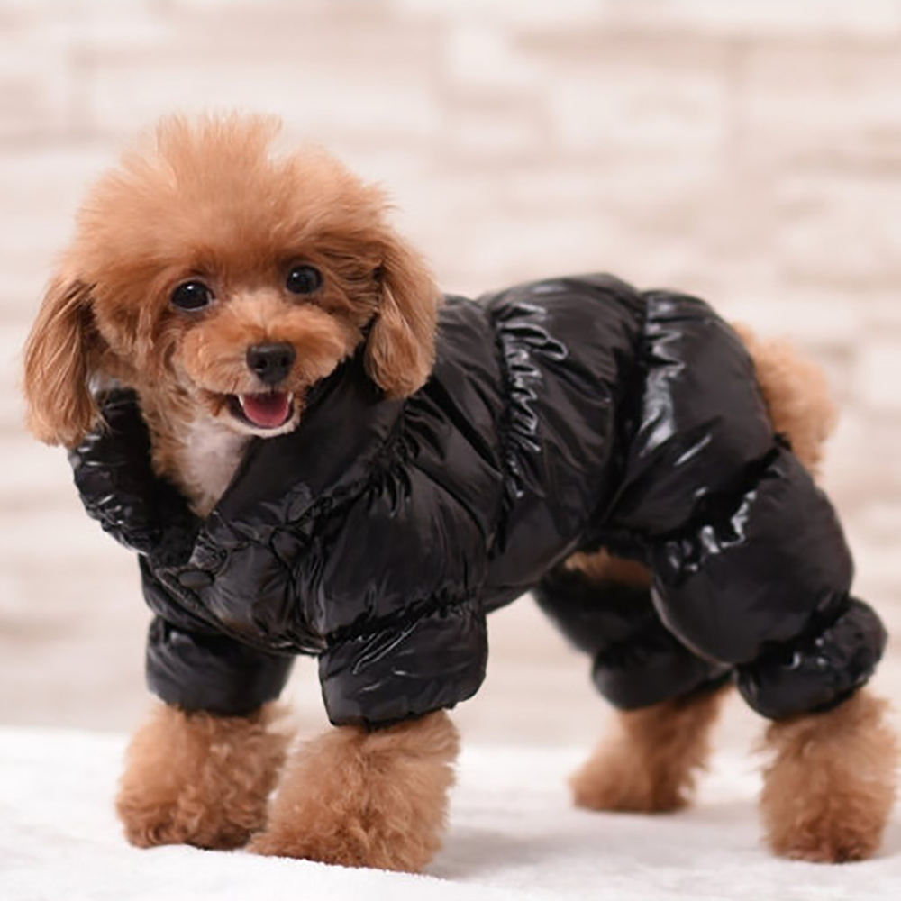Куртки на собак
