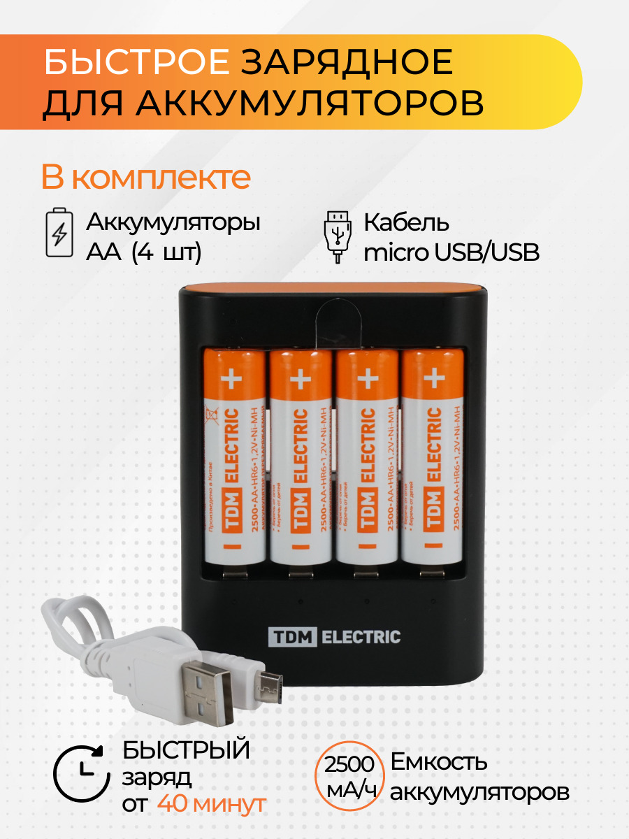 Зарядное устройство для аккумуляторных батареек TDM Electric, 12 В В -  купить по выгодной цене в интернет-магазине OZON (488933626)