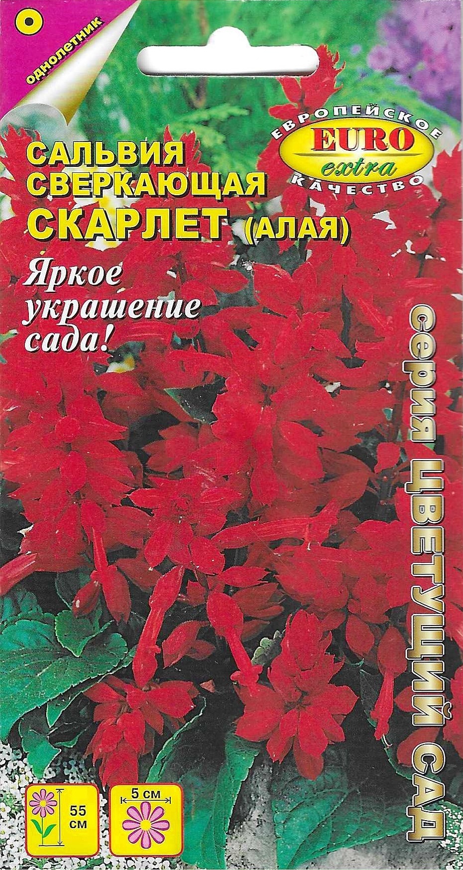 Купить Семена Алый Сахар
