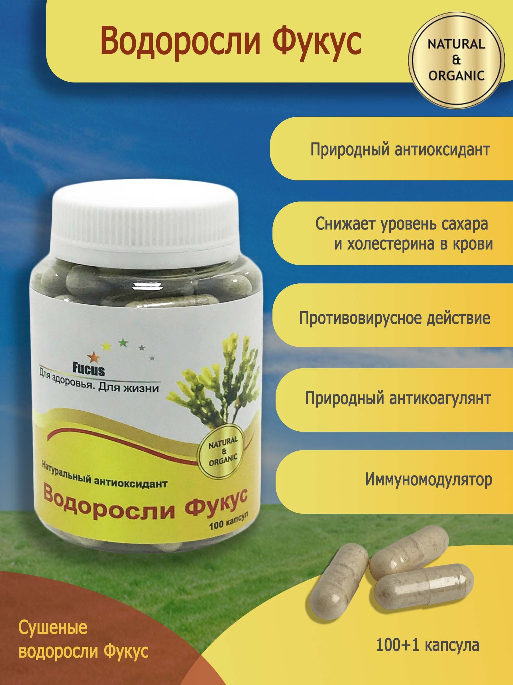 экстракт корня лопуха инструкция по применению. корень лопуха алтай. 450мг. корень лопуха инструкция по применению. корень лопуха фиточай.