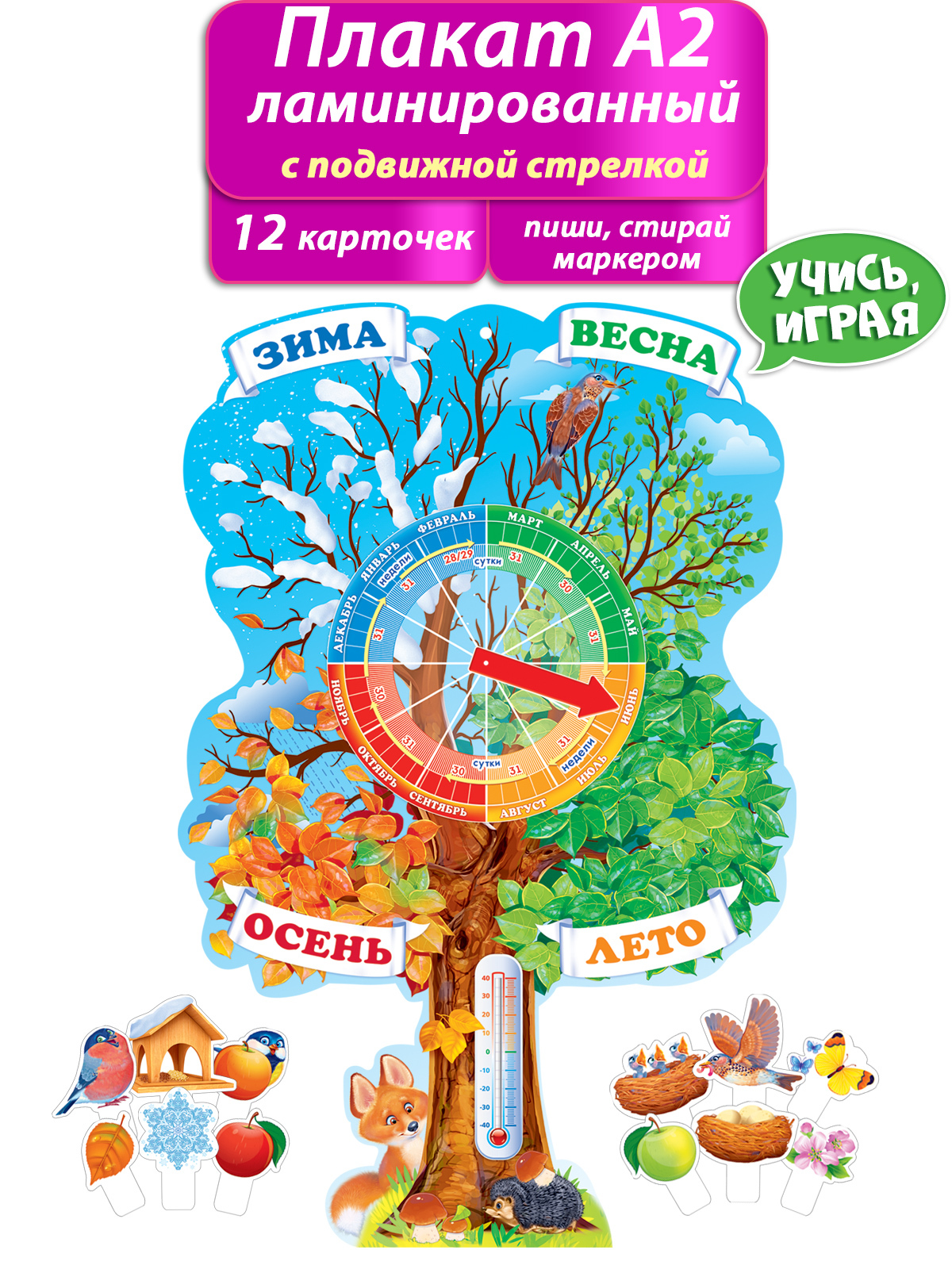 Плакат обучающий "Времена года" в школу и детский сад, 44х60 см, картон, А2.