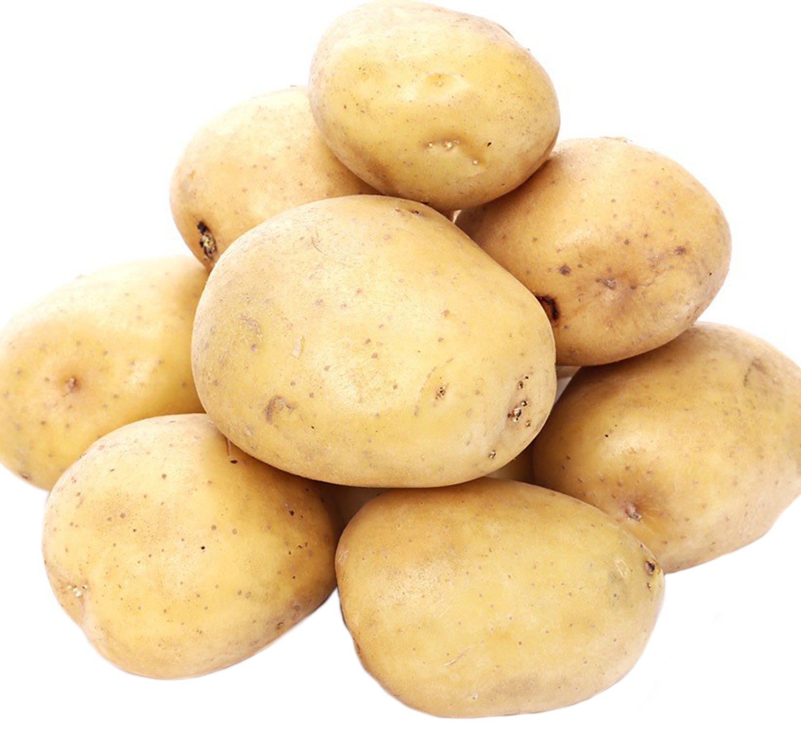 Куплю картофель тульская область. Картофель семенной Коломбо. Картофель белый 1 кг. Сорт картофеля Коломбо. Картофель на белом фоне.