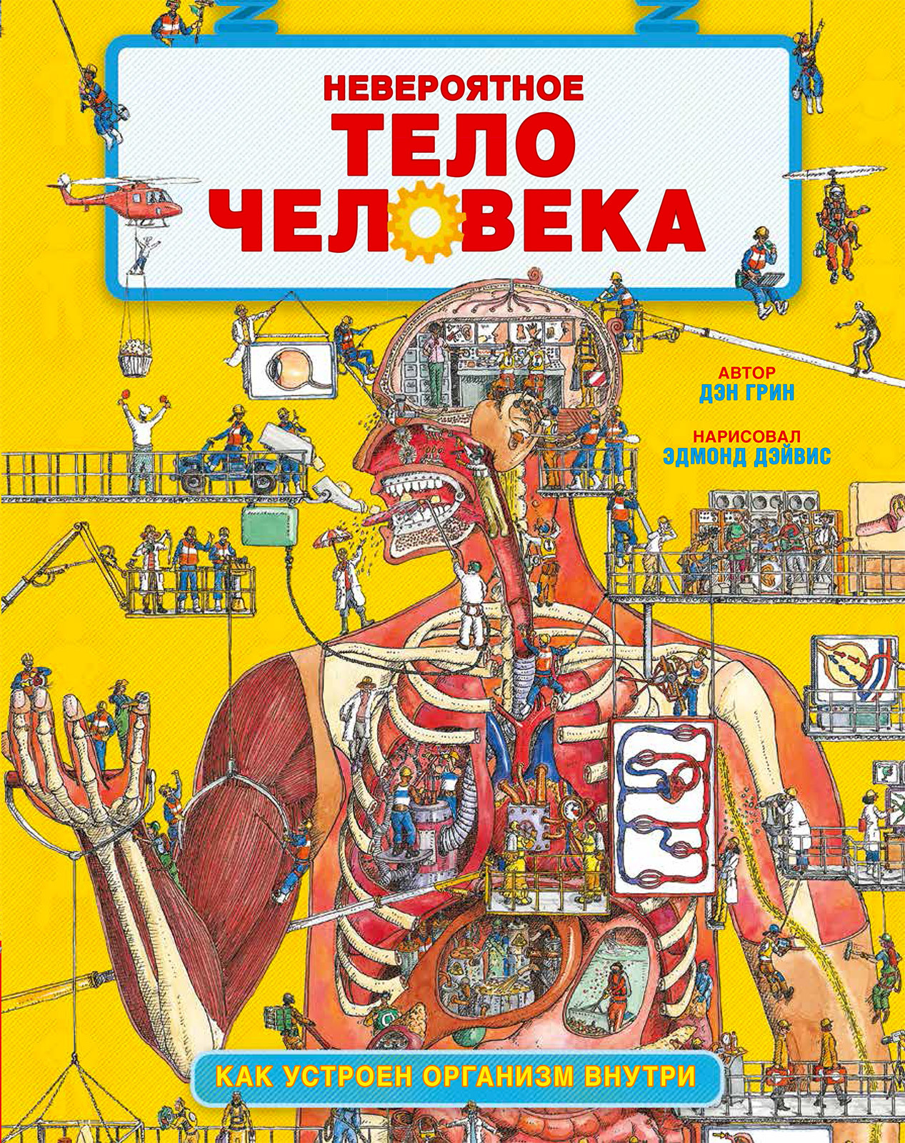 Энциклопедия. Невероятное тело человека. Как устроен организм внутри / Анатомия для детей