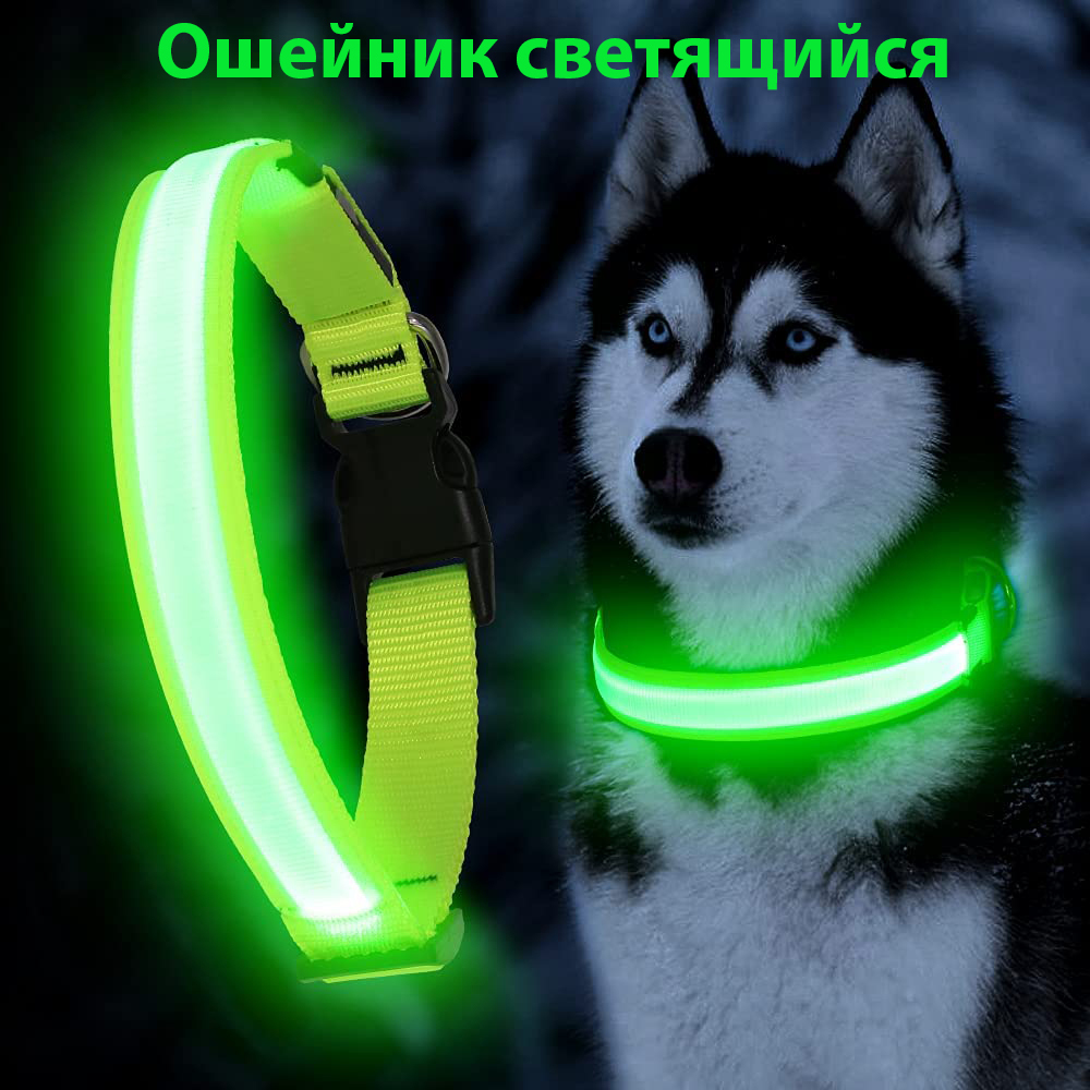 Светящийся ошейник для собак Озон