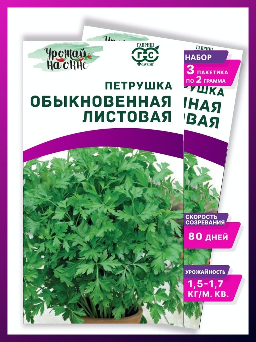Гавриш петрушка листовая Обыкновенная 2 г Урожай на окне;семена петрушки  для балкона;семена петрушки комнатной;петрушка для лоджии;семена петрушки  для выращивания на балконе - купить по выгодным ценам в интернет-магазине  OZON (600645656)