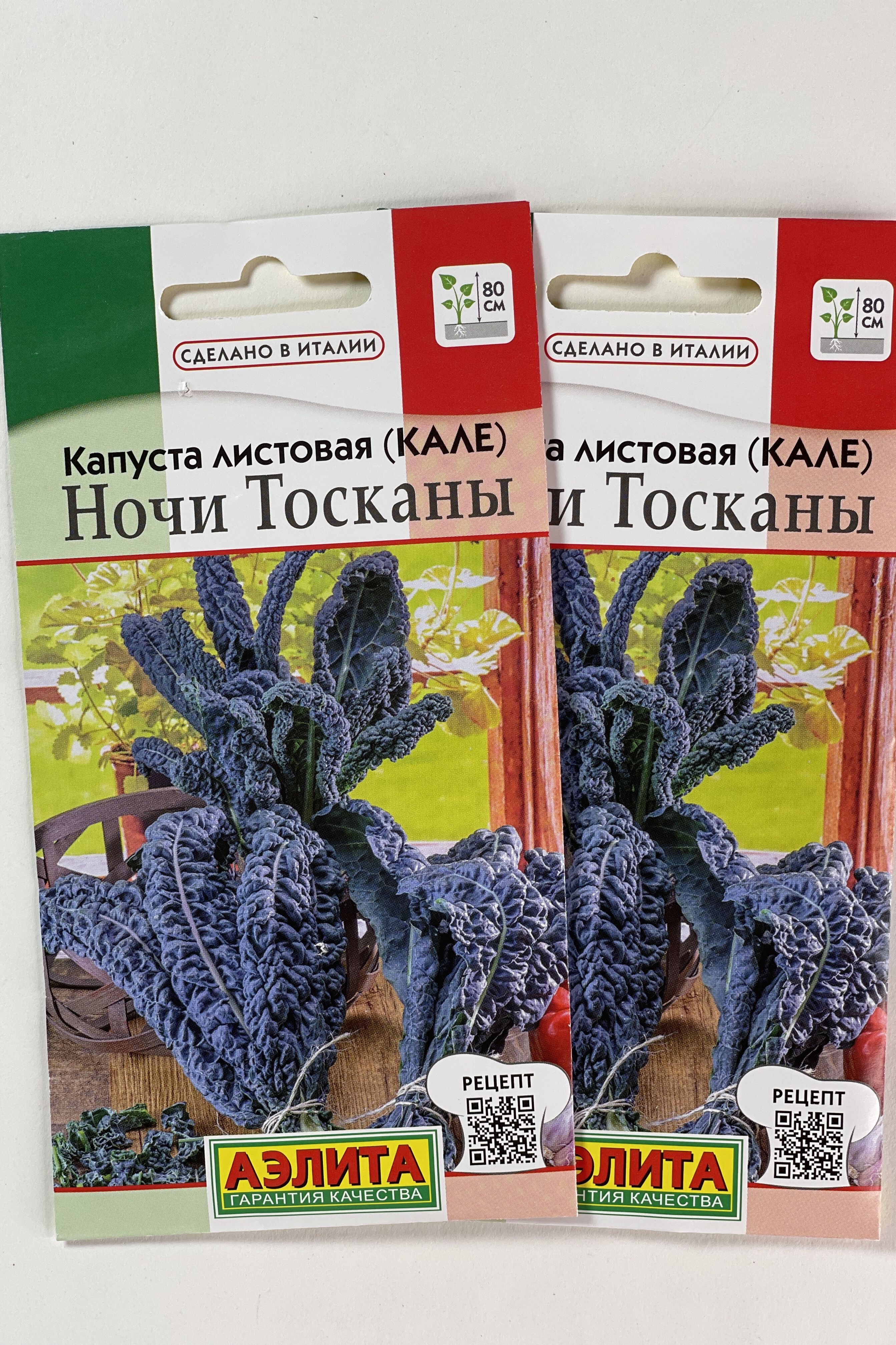 Капуста ночи тосканы. Капуста Кале ночи Тосканы. Капуста листовая ночи Тосканы. Листовая капуста Кале отзывы. Капуста ночь Тосканы описание.