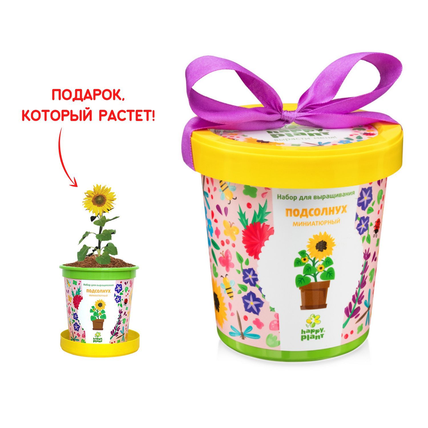 Набор для выращивания Happy Plant, Подсолнечники декоративные, Однолетник  купить по выгодной цене в интернет-магазине OZON (149744276)